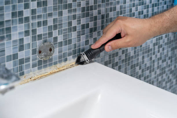 Best Mold Remediation  in Carlisle, IA